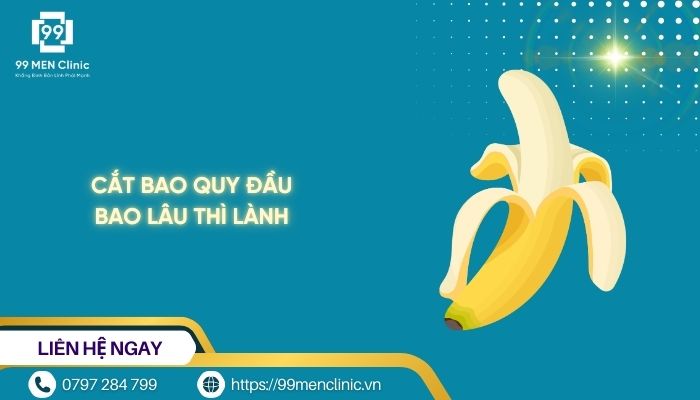 Cắt bao quy đầu bao lâu thì lành