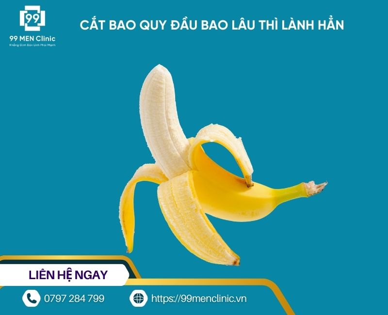 Cắt bao quy đầu bao lâu thì lành hẳn