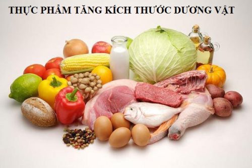 Thực phẩm hỗ trợ tăng kích thước