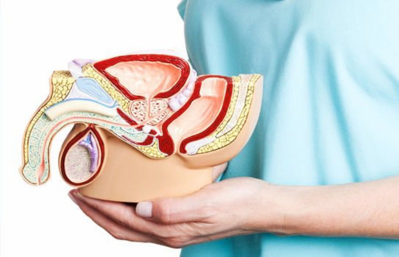 cậu nhỏ cong xuống có sao không