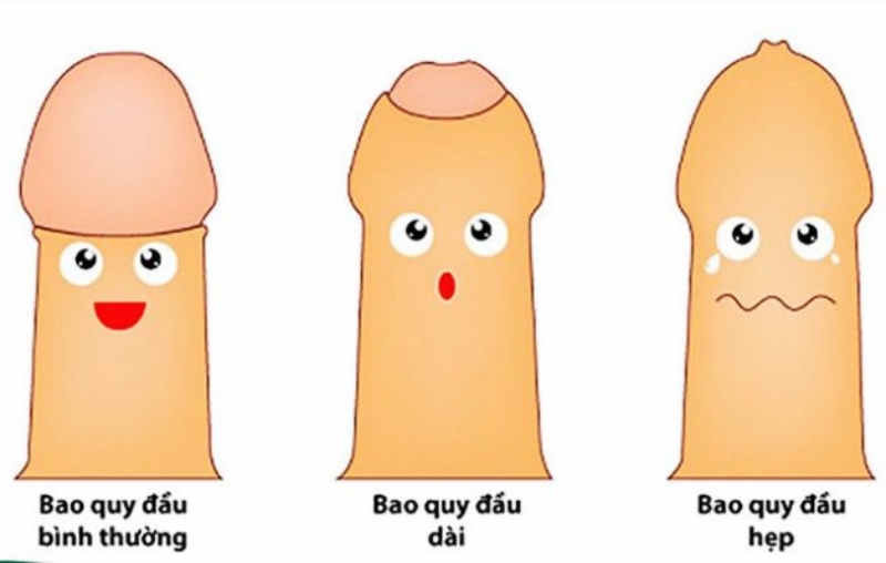 cậu nhỏ không phát triển ở tuổi dậy thì