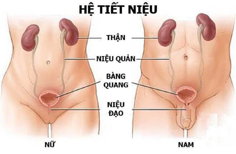 cậu nhỏ ra dịch trắng có nguy hiểm không