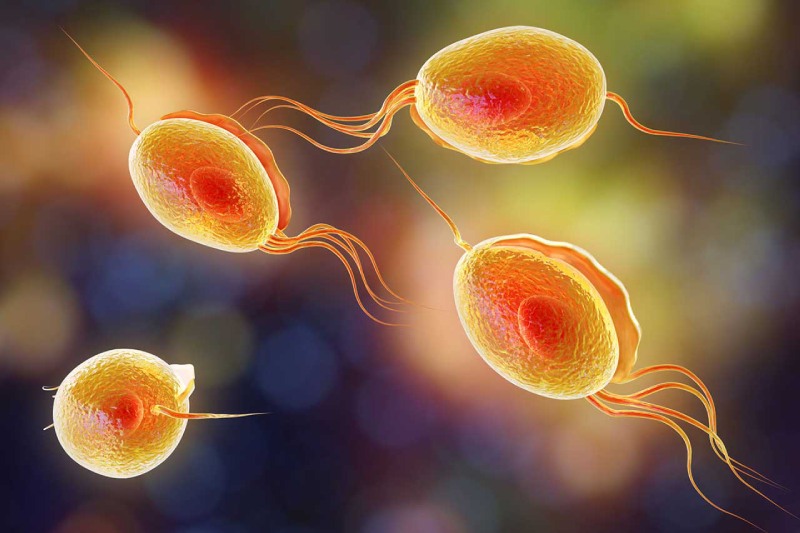 cậu nhỏ ra dịch trắng có nguy hiểm không