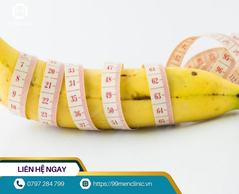 Giải đáp dương vật 15cm là to hay nhỏ