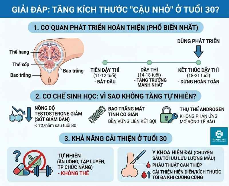 Giải đáp 30 tuổi có tăng kích thước cậu nhỏ được không