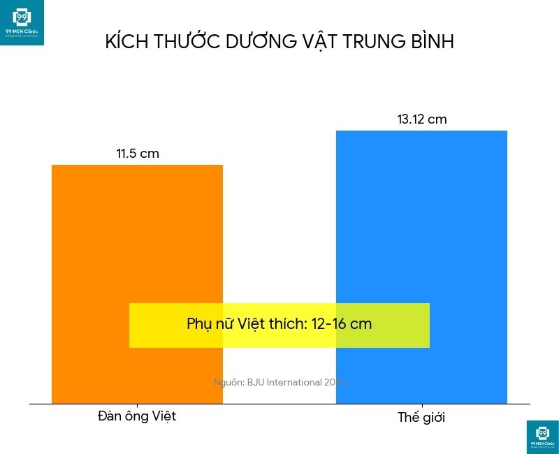 Kích thước dương vật trung bình đàn ông Việt Nam so với thế giới và kích thước phụ nữ Việt yêu thích
