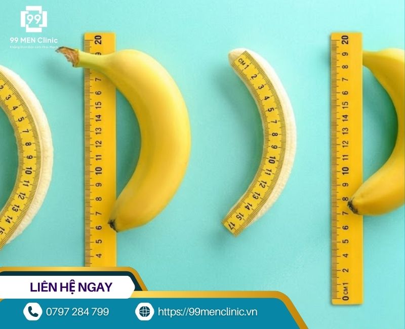 Kích thước dương vật trung bình việt nam so với thế giới