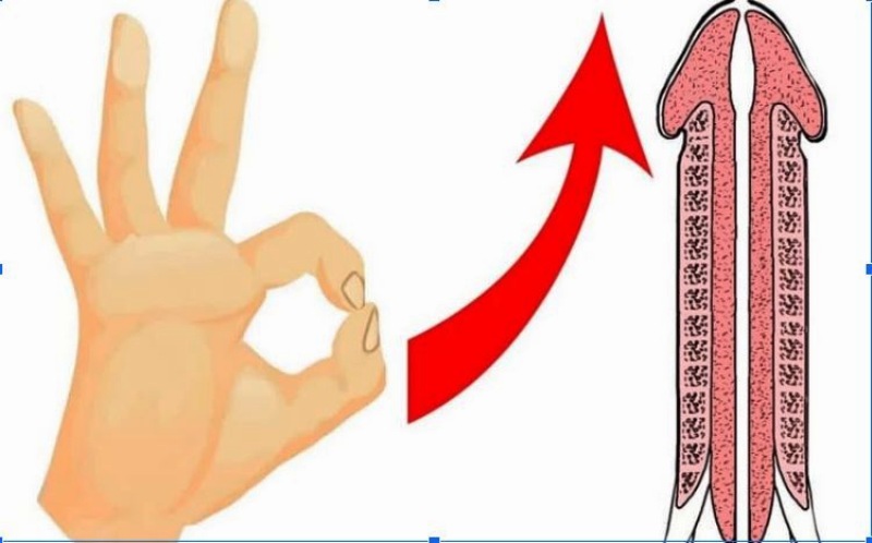 cách làm cậu nhỏ hết cong tại nhà