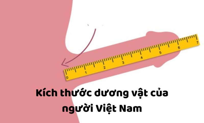 cậu nhỏ lúc bình thường