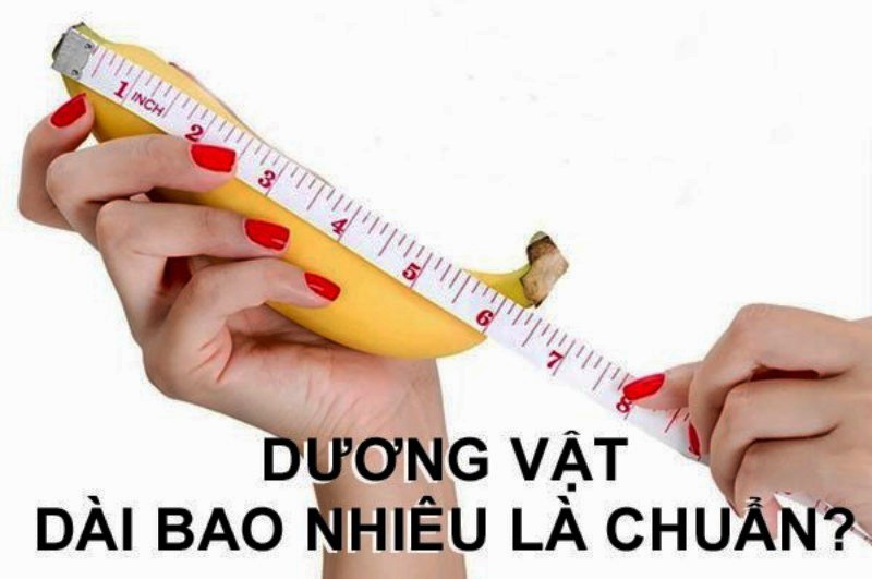 cậu nhỏ lúc bình thường