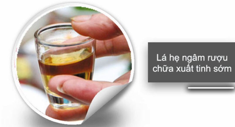 chữa xuất tinh sớm bằng lá hẹ