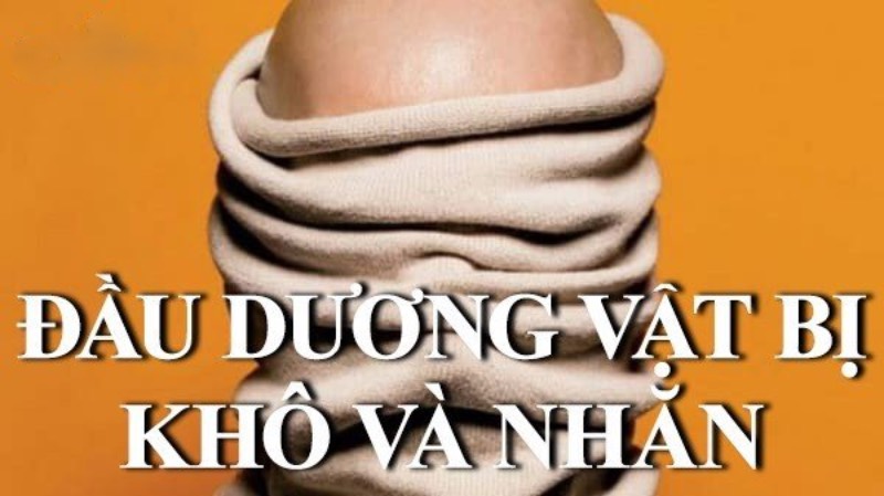 đầu dương vật bị khô