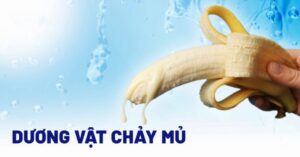 dương vật chảy mủ trắng đục