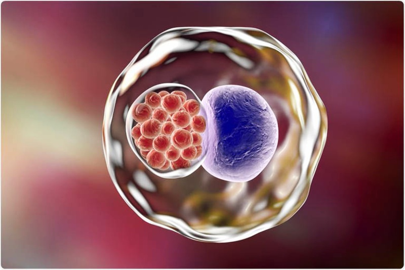 dương vật chảy mủ trắng đục