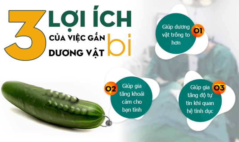 vô bi cho dương vật