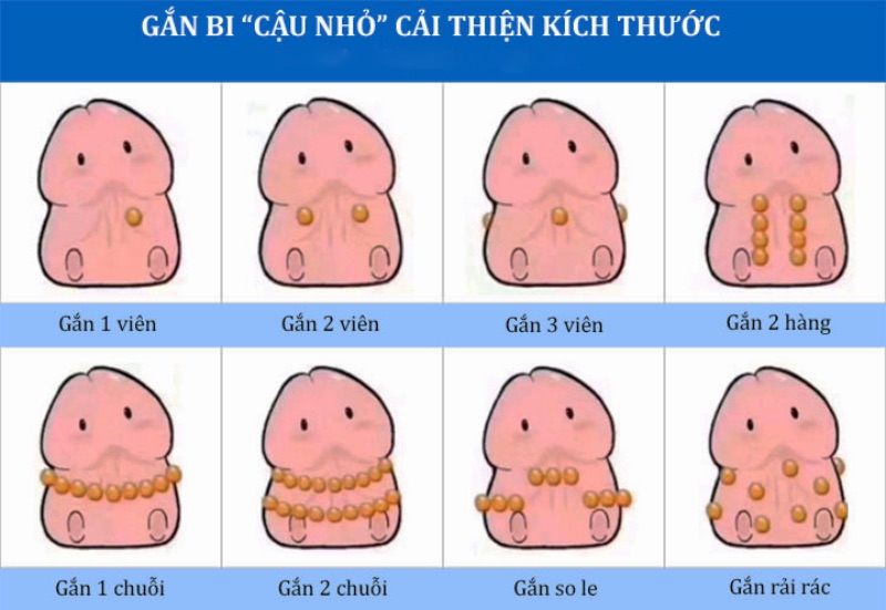 vô bi cho dương vật