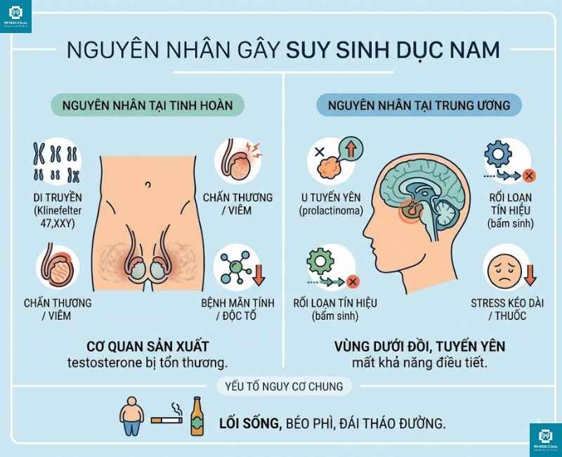 Nguyên nhân suy sinh dục nam