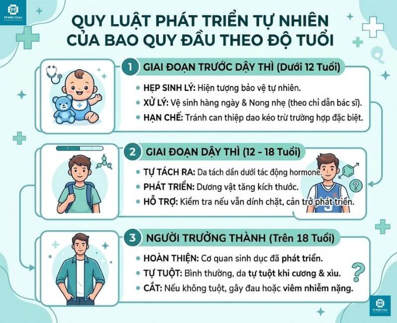 Sự phát triển tự nhiên của bao quy đầu theo độ tuổi