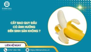 Cắt bao quy đầu có ảnh hưởng đến sinh sản
