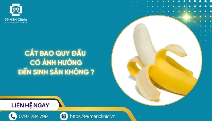 Cắt bao quy đầu có ảnh hưởng đến sinh sản