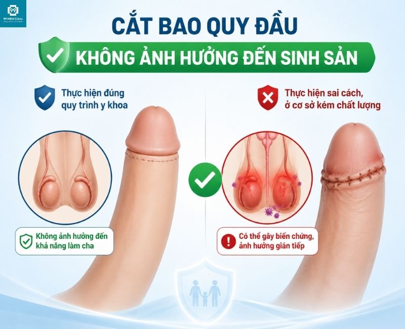 Cắt bao quy đầu không ảnh hưởng đến sinh sản
