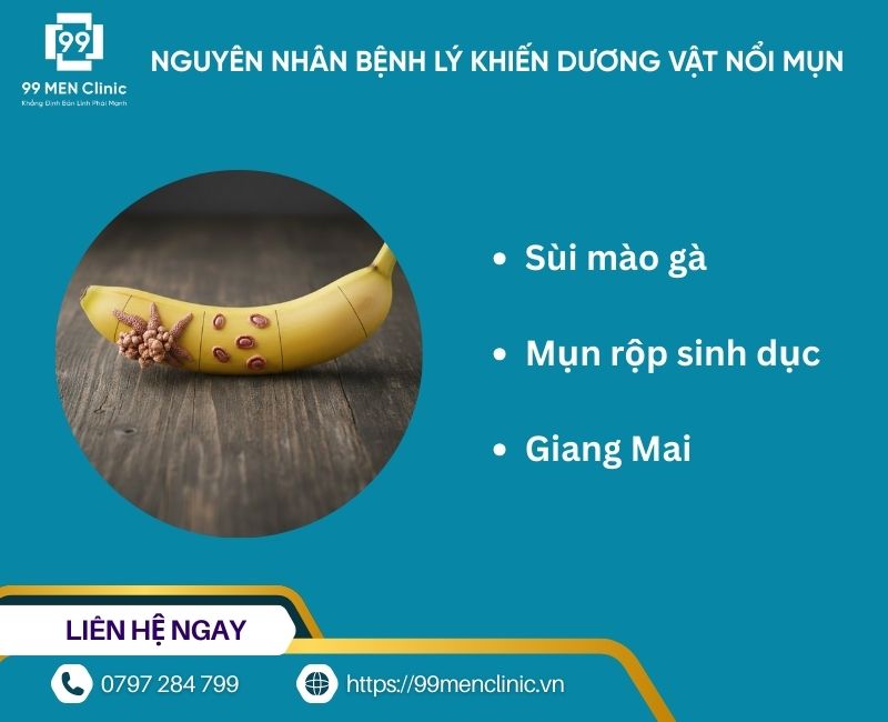 Nguyên nhân bệnh lý khiến dương vật nổi mụn