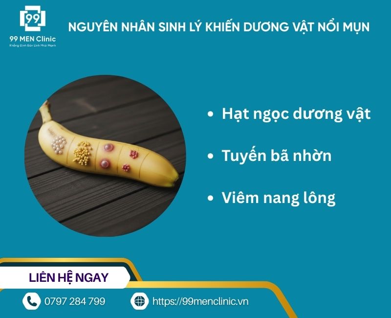 Nguyên nhân sinh lý khiến nổi mụn ở dương vật