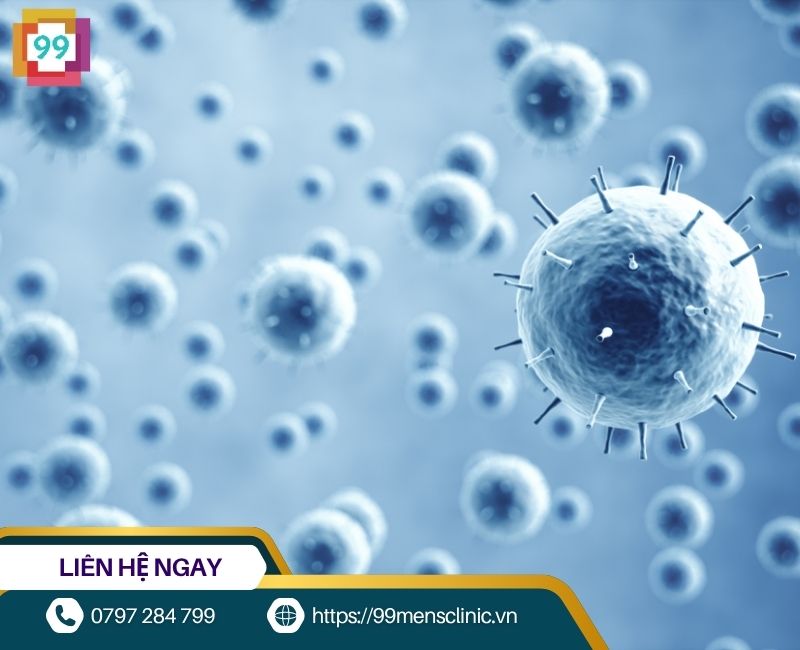 Viêm bao quy đầu ở trẻ có thể do vi khuẩn