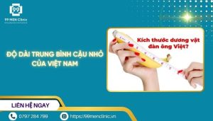 Độ dài trung bình cậu nhỏ của Việt Nam