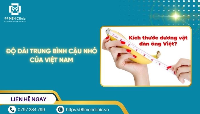 Độ dài trung bình cậu nhỏ của Việt Nam