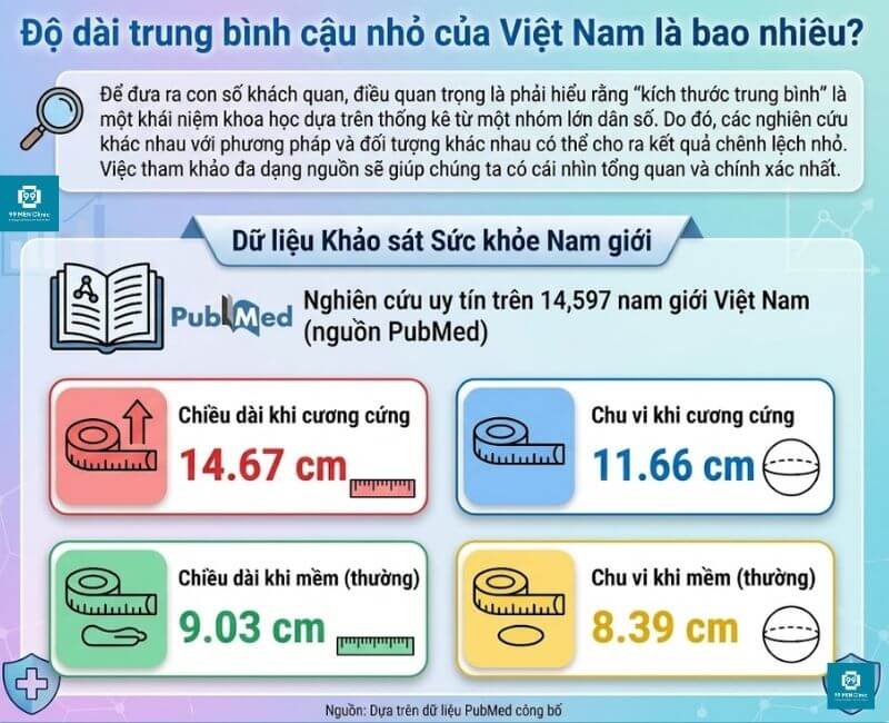 Độ dài trung bình cậu nhỏ của việt nam là bao nhiêu