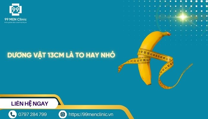 Dương vật 13cm là to hay nhỏ