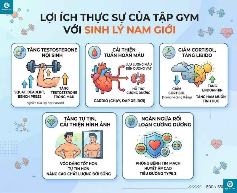 Lợi ích khi tập gym đối với sinh lý nam giới 