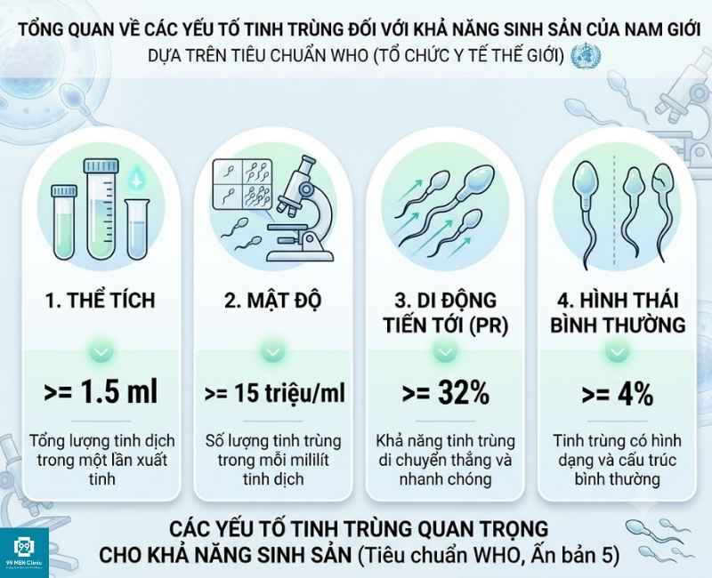 Các yếu tố tinh trùng quyết định việc nam giới có con