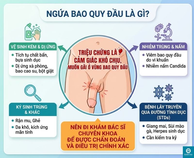 Ngứa bao quy đầu là gì