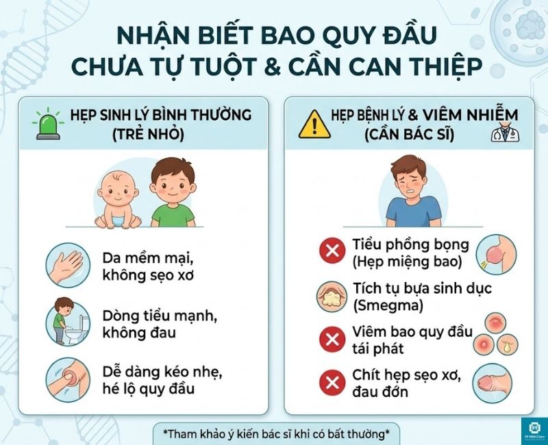 Dấu hiệu nhận biết bao quy đầu chưa tuột