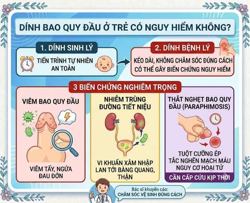 Dính bao quy đầu ở trẻ có nguy hiểm không