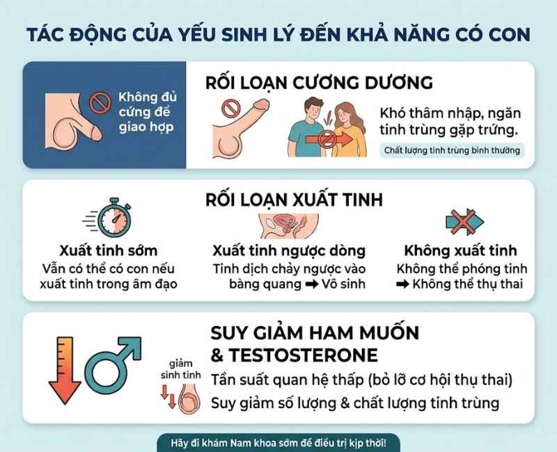 Tác động của yếu sinh lý đến khả năng có con